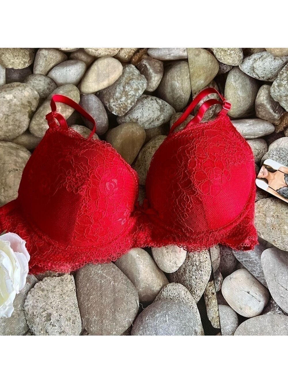 NWT RED LACE BRA-34C
